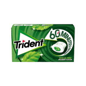 Trident – Chewing-gum Sans Sucre Menthe Verte 60 Minutes de Fraîcheur 22g